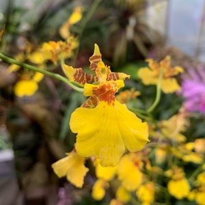 Bundle to Save More!